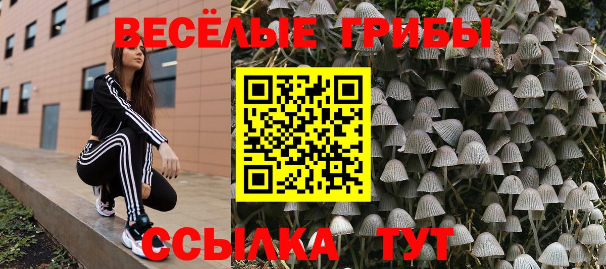 Галлюциногенные грибы Cubensis  Псилоцибиновые грибы Cubensis  Вход с VPN  Миасс 